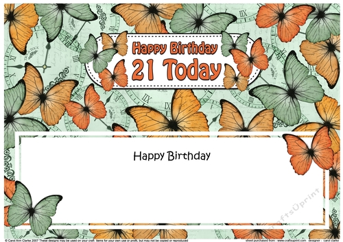 Large DL Happy Birthday 21 TODAY Butterflies matching insert