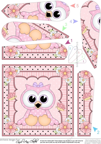 Cute Little Hoot Owl Fan Pyramage Topper