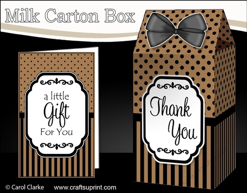 3D Spots & Stripes Milk Carton Treat Box Mini Kit