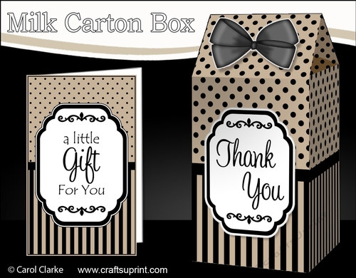 3D Spots & Stripes Milk Carton Treat Box Mini Kit