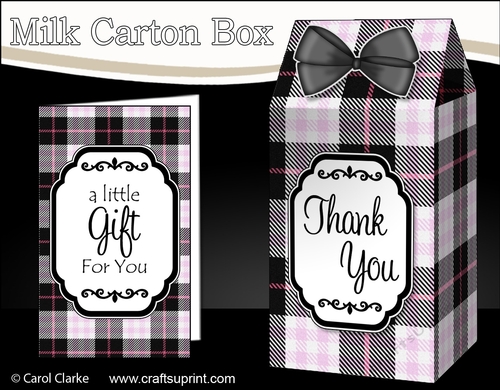 3D Tartan Milk Carton Treat Box Mini Kit