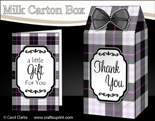 3D Tartan Milk Carton Treat Box Mini Kit