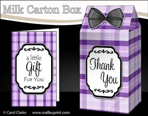 3D Tartan Milk Carton Treat Box Mini Kit