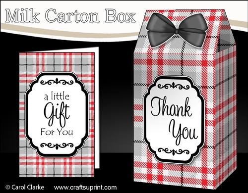 3D Tartan Milk Carton Treat Box Mini Kit