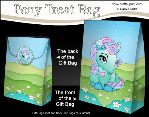 3D Gift Bag Mini Kit - Cute Little Pony Minty 