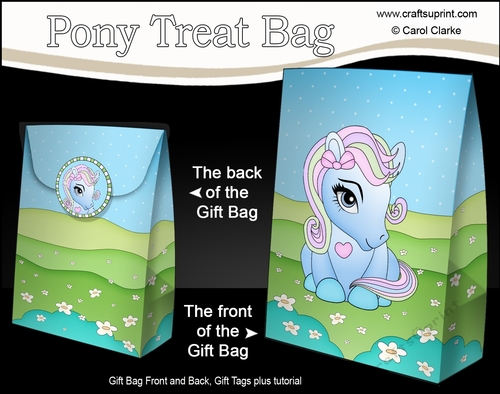 3D Gift Bag Mini Kit - Cute Little Pony Fleur