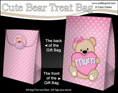 3D Mothers Day Gift Bag Mini Kit - Cute Little Teddy Bear