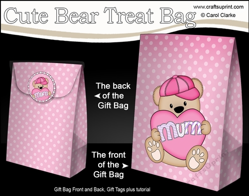 3D Mothers Day Gift Bag Mini Kit - Cute Little Teddy Bear