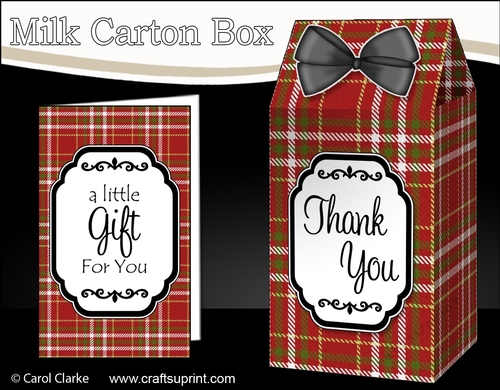 3D Tartan Milk Carton Treat Box Mini Kit