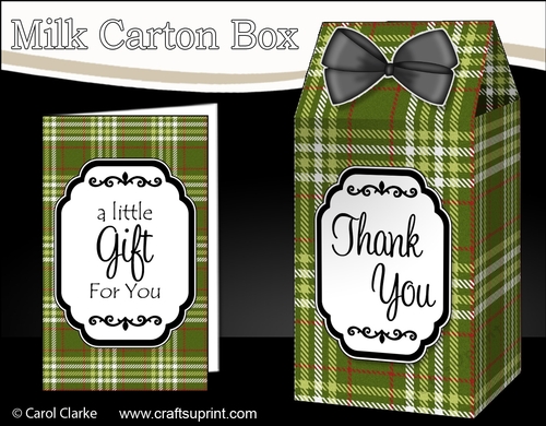 3D Tartan Milk Carton Treat Box Mini Kit