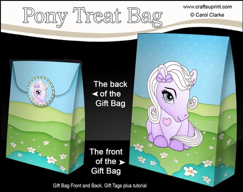 3D Gift Bag Mini Kit - Cute Little Pony Violet