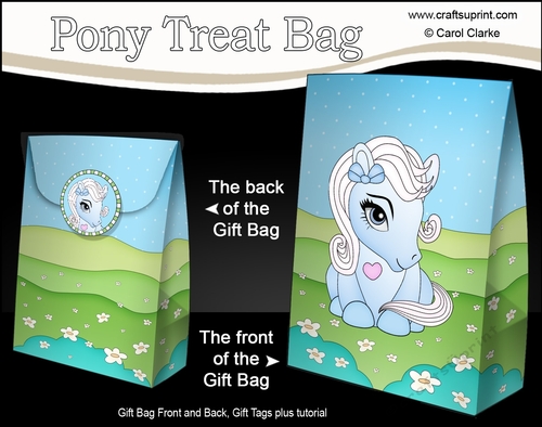 3D Gift Bag Mini Kit - Cute Little Pony Icicle