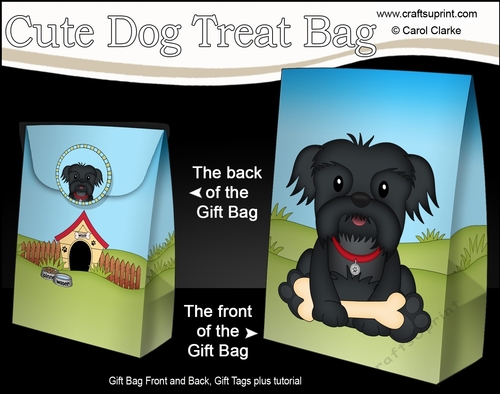 3D Gift Bag Mini Kit - Cute Little Shih Tzu Dog Bo