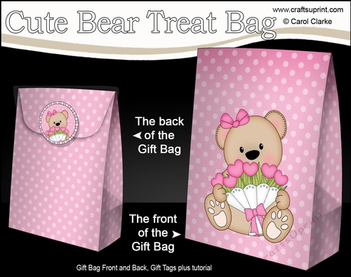 3D Mothers Day Gift Bag Mini Kit - Cute Little Teddy Bear