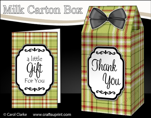 3D Tartan Milk Carton Treat Box Mini Kit