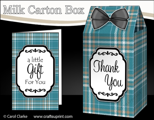 3D Tartan Milk Carton Treat Box Mini Kit