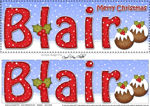 Large DL Merry Christmas BLAIR 3D decoupage 