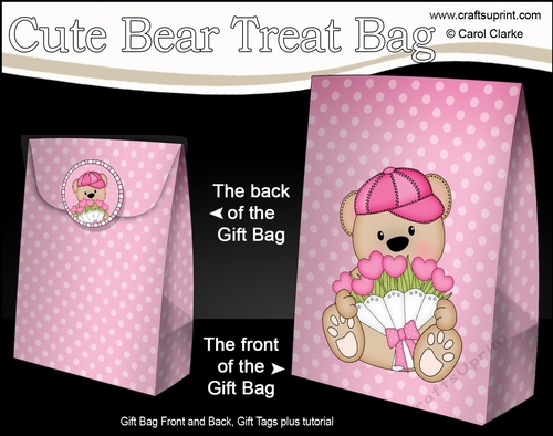 3D Mothers Day Gift Bag Mini Kit - Cute Little Teddy Bear