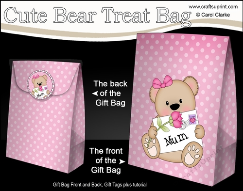 3D Mothers Day Gift Bag Mini Kit - Cute Little Teddy Bear