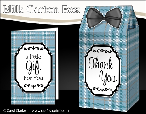 3D Tartan Milk Carton Treat Box Mini Kit