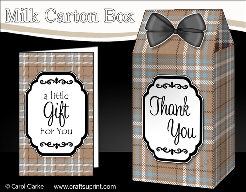 3D Tartan Milk Carton Treat Box Mini Kit