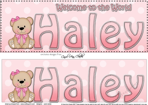 Large DL Welcome to the World HALEY 3D decoupage