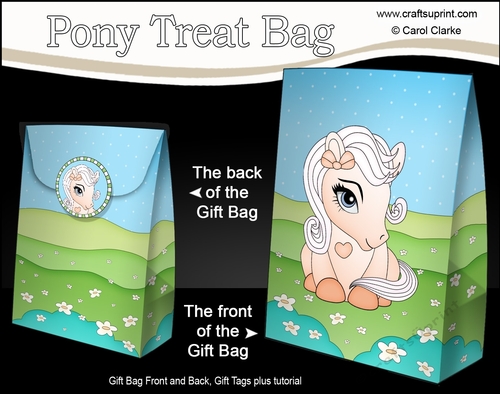 3D Gift Bag Mini Kit - Cute Little Pony Marmalade