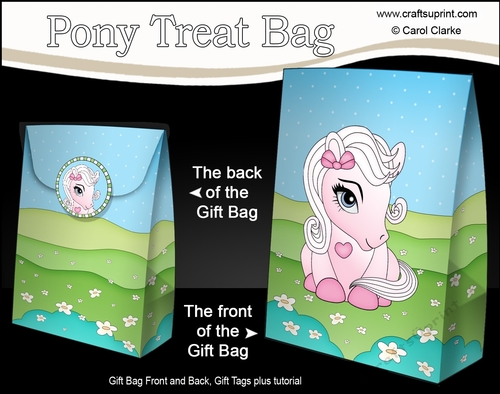 3D Gift Bag Mini Kit - Cute Little Pony Marshmallow