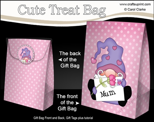 3D Mothers Day Gift Bag Mini Kit - Cute Little Gnome