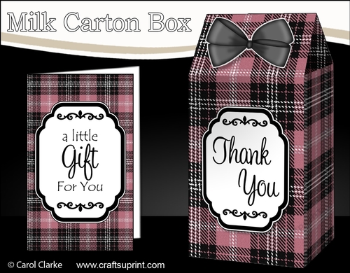 3D Tartan Milk Carton Treat Box Mini Kit