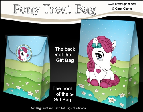 3D Gift Bag Mini Kit - Cute Little Pony Berry