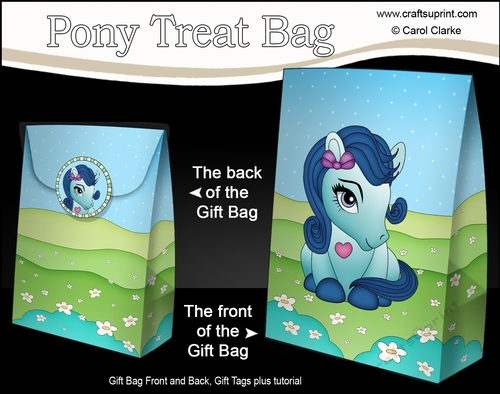 3D Gift Bag Mini Kit - Cute Little Pony Melody
