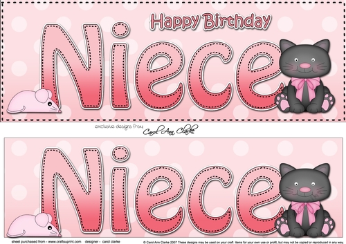 Large DL Happy Birthday NIECE 3D decoupage with Cute Cat