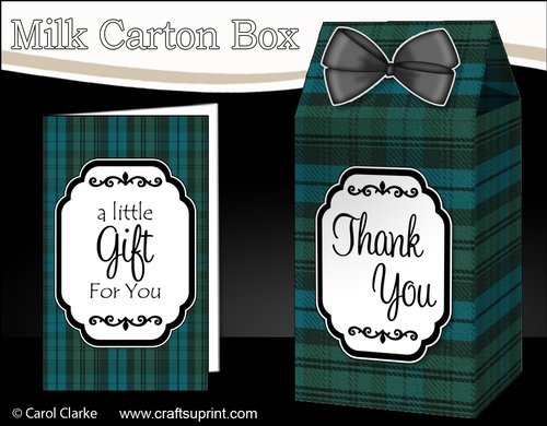 3D Tartan Milk Carton Treat Box Mini Kit