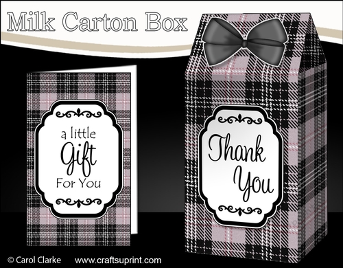 3D Tartan Milk Carton Treat Box Mini Kit