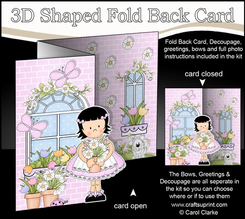 3D Shaped No-Hole Fold Back Mini Kit -  Country Cottage Girlz Suzi has a Pot of Pretty Flowers