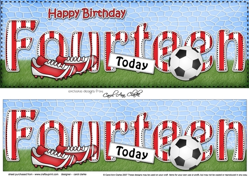 Large DL Happy Birthday FOURTEEN TODAY 3D decoupage