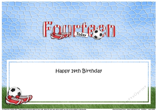 Large DL Happy Birthday FOURTEEN TODAY insert