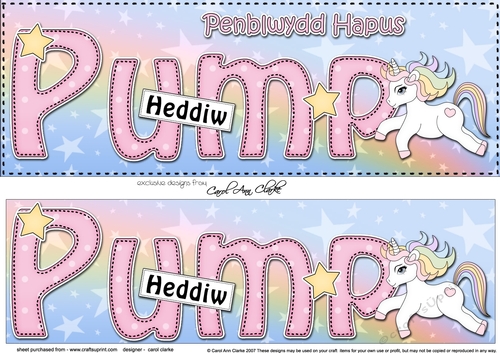 Large DL Welsh PENBLWYDD HAPUS PUMP HEDDIW (Happy Birthday five today) 3D decoupage