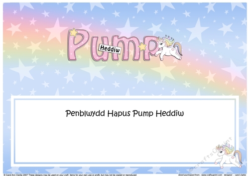Large DL Welsh PENBLWYDD HAPUS PUMP HEDDIW (Happy Birthday five today) insert