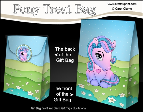 3D Gift Bag Mini Kit - Cute Little Pony Kandy 