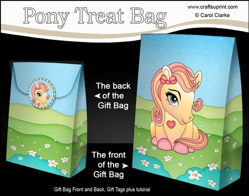 3D Gift Bag Mini Kit - Cute Little Pony Amber