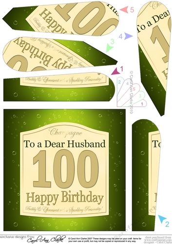 100th Birthday Husband Champagne Label Fan Pyramage Topper