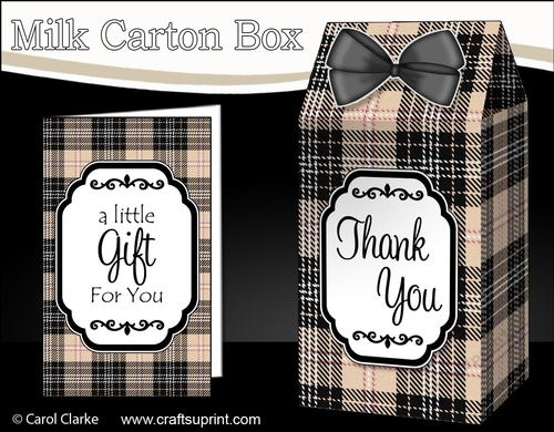 3D Tartan Milk Carton Treat Box Mini Kit