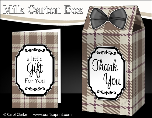 3D Tartan Milk Carton Treat Box Mini Kit