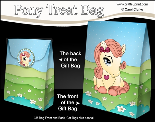3D Gift Bag Mini Kit - Cute Little Pony Buttercup 