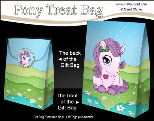 3D Gift Bag Mini Kit - Cute Little Pony Autumn