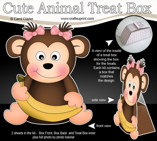 3D Cute Animal Treat Box Gift Set Mini Kit -  Cute Little Monkey Bubbles
