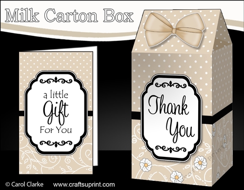3D Spots & Flowers Milk Carton Treat Box Mini Kit