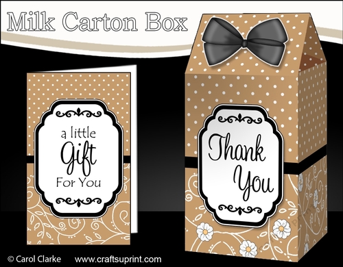 3D Spots & Flowers Milk Carton Treat Box Mini Kit